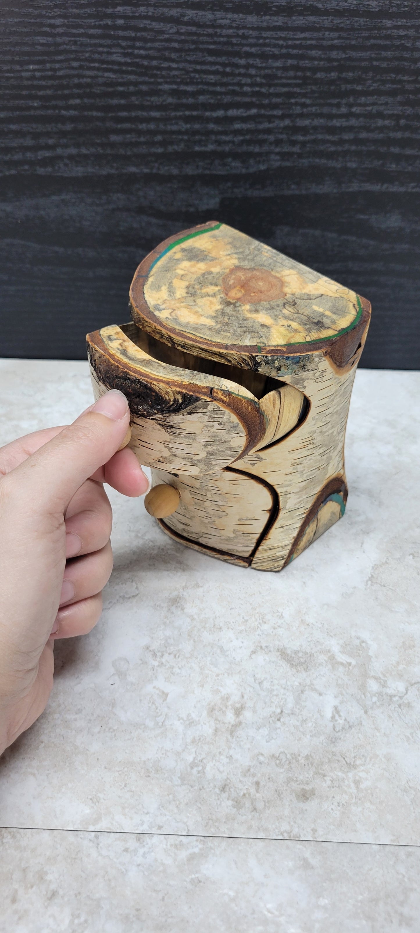 Birch Spalted Branch