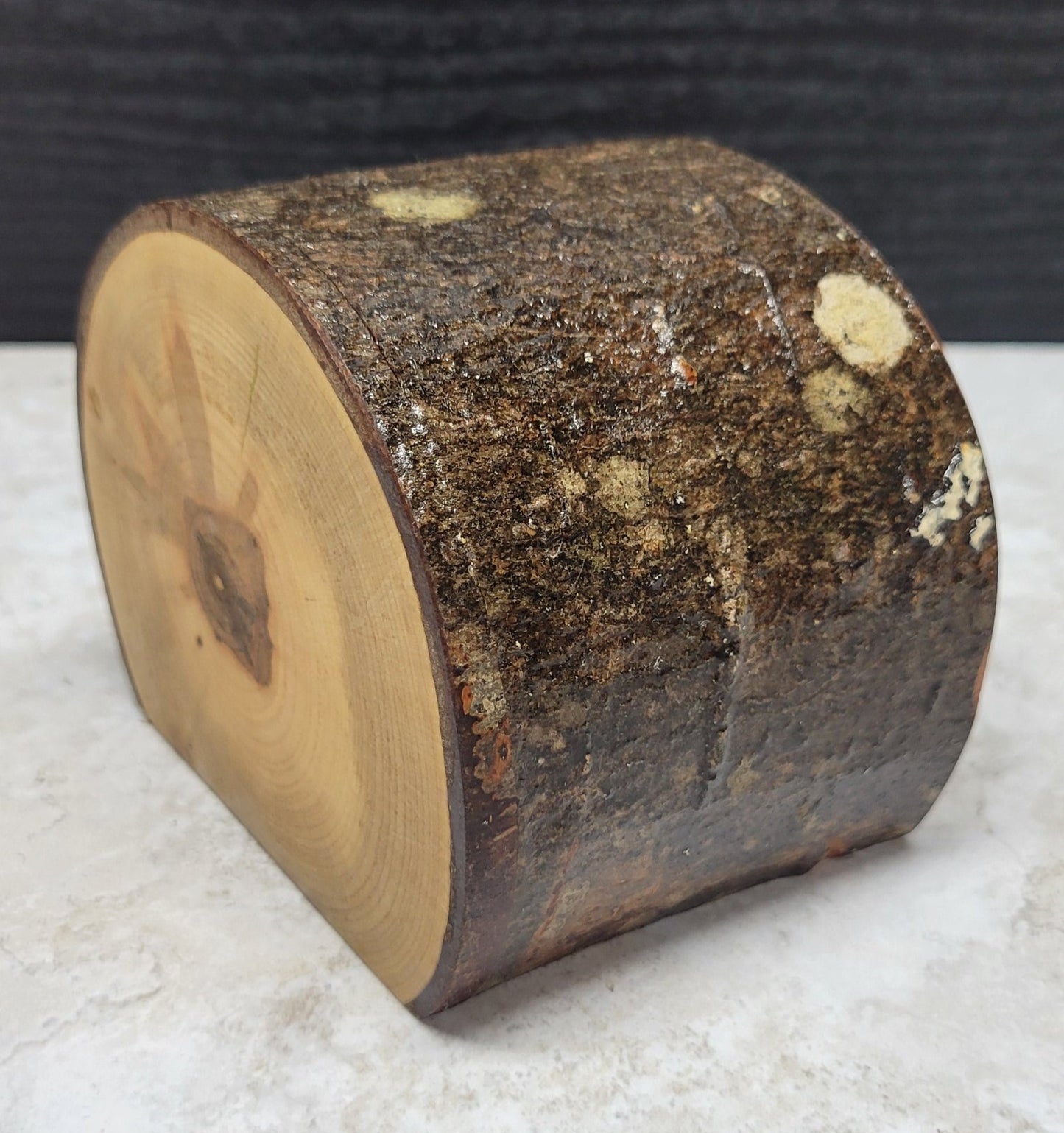 Small Maple Box with Bark