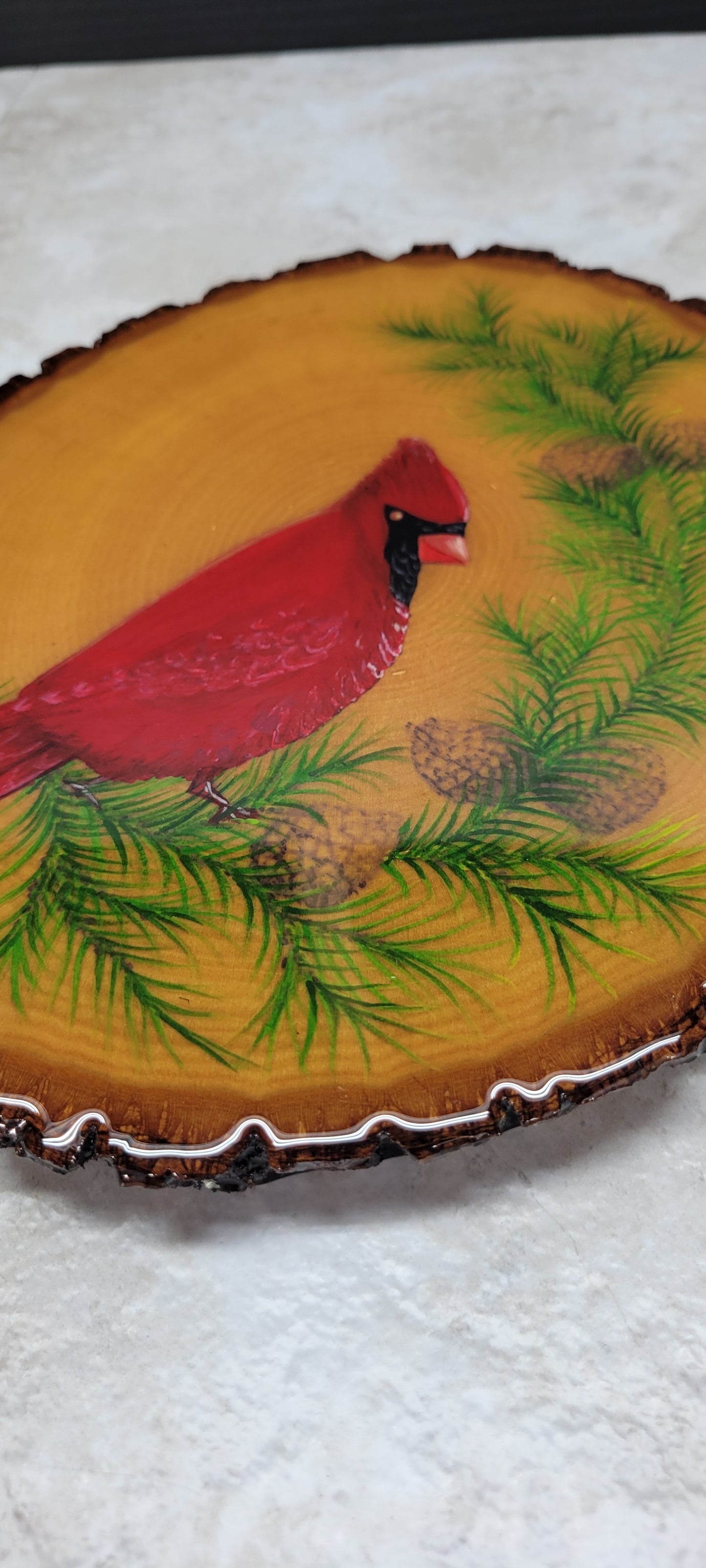 Cardinal on a Pine Branch