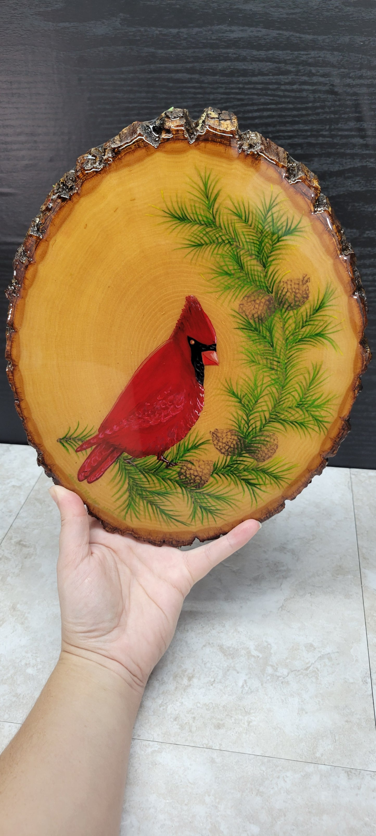 Cardinal on a Pine Branch