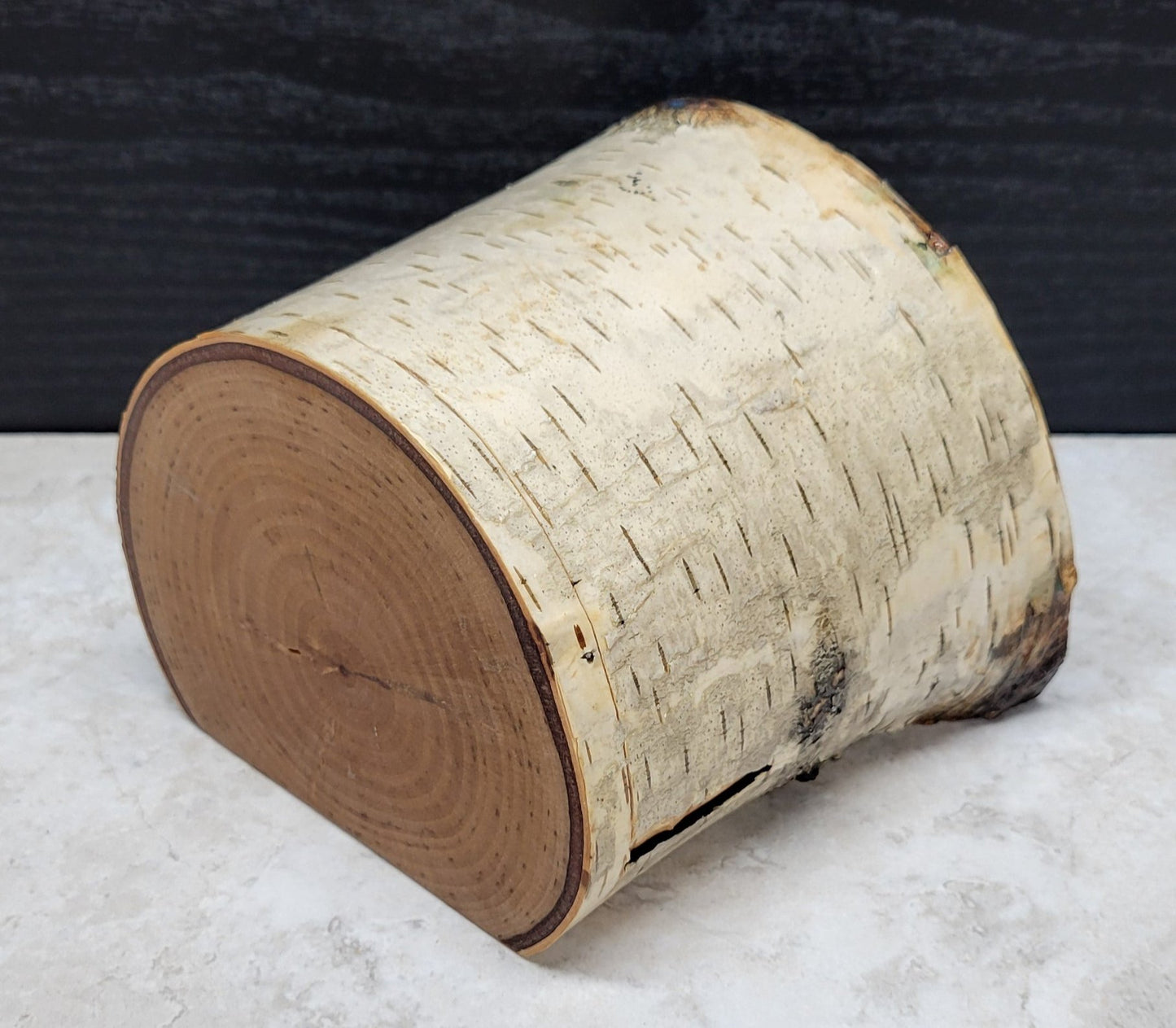 Birch Branch Box