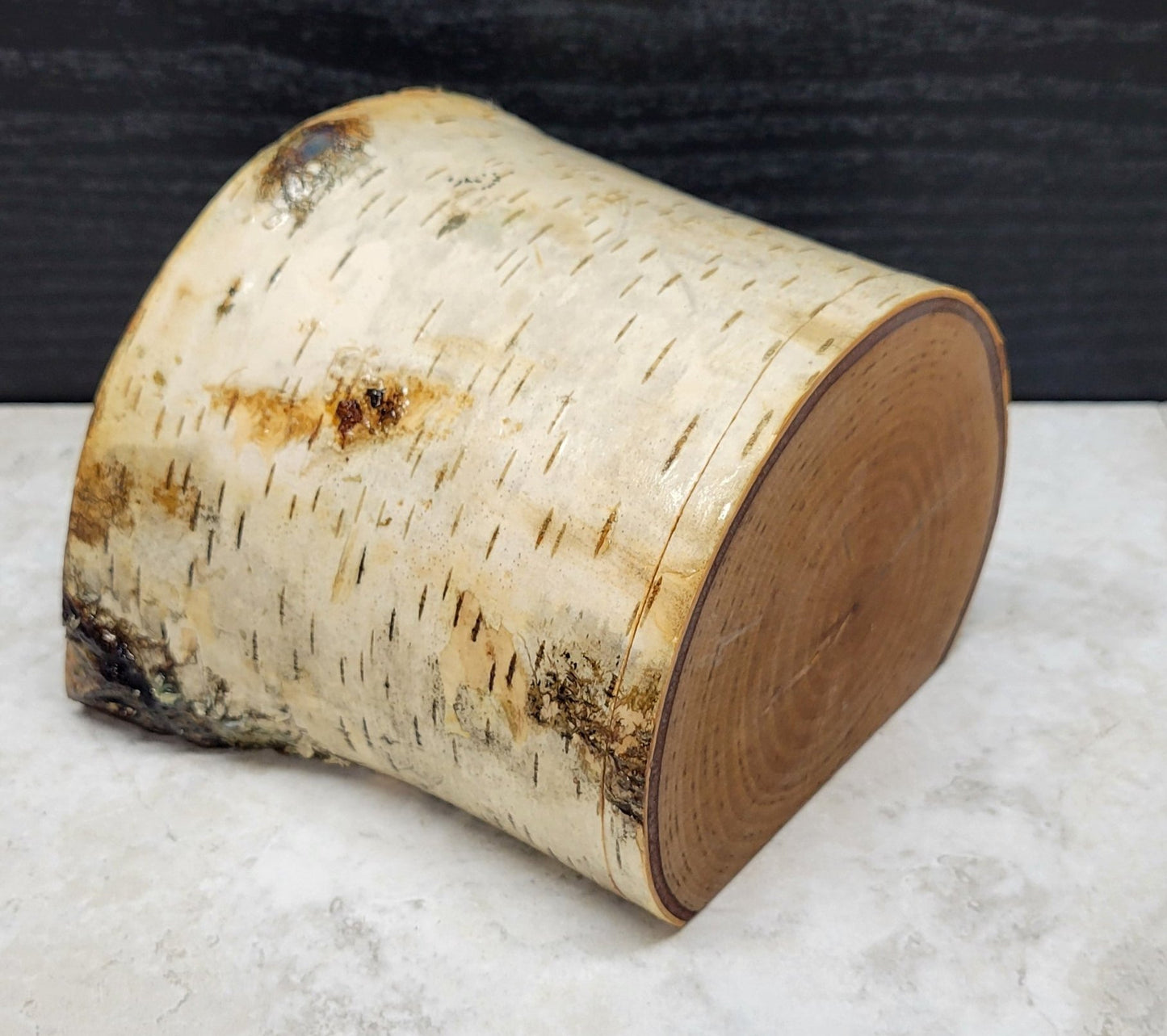 Birch Branch Box