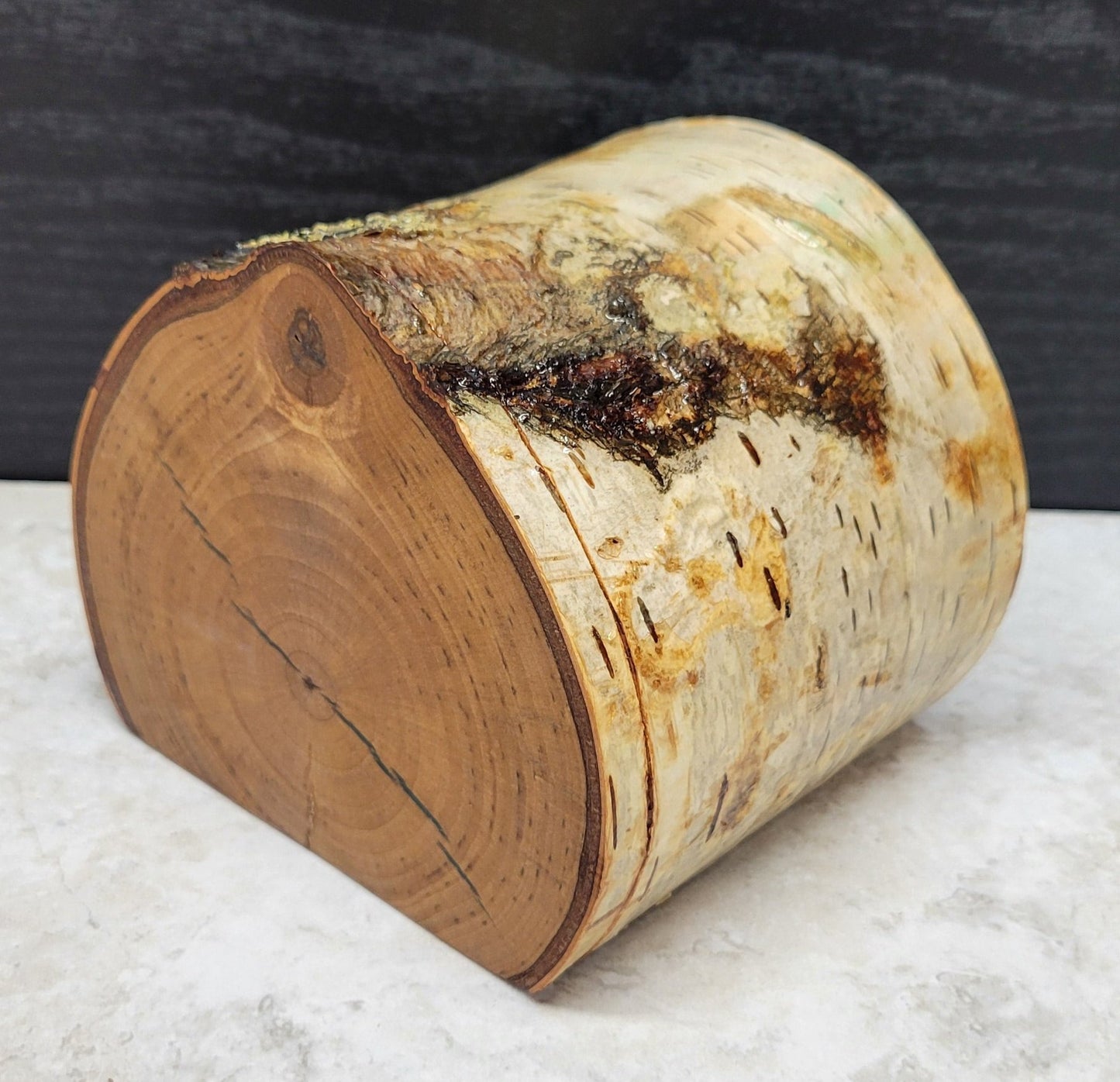 Birch Branch Single Drawer Blue Resin