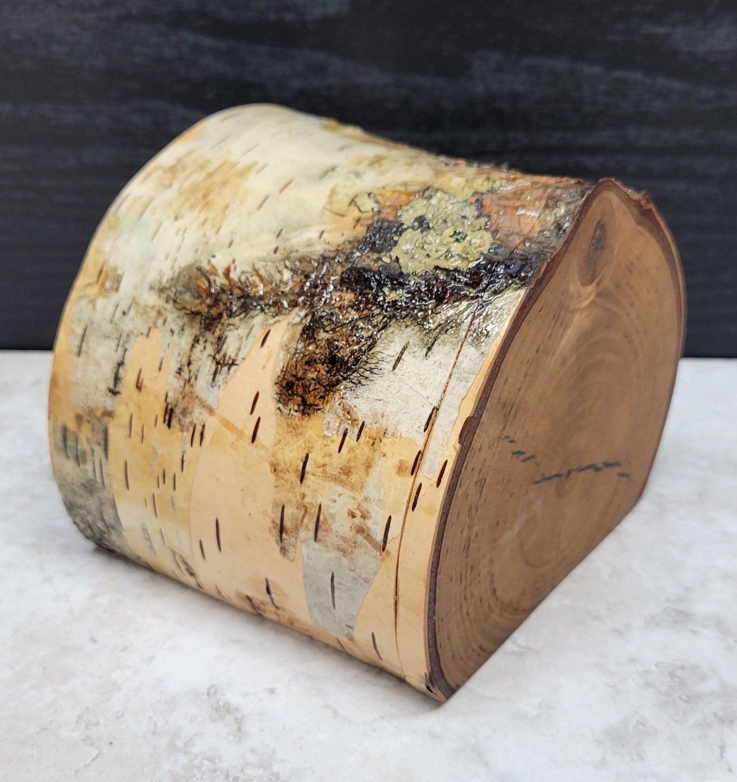 Birch Branch Single Drawer Blue Resin